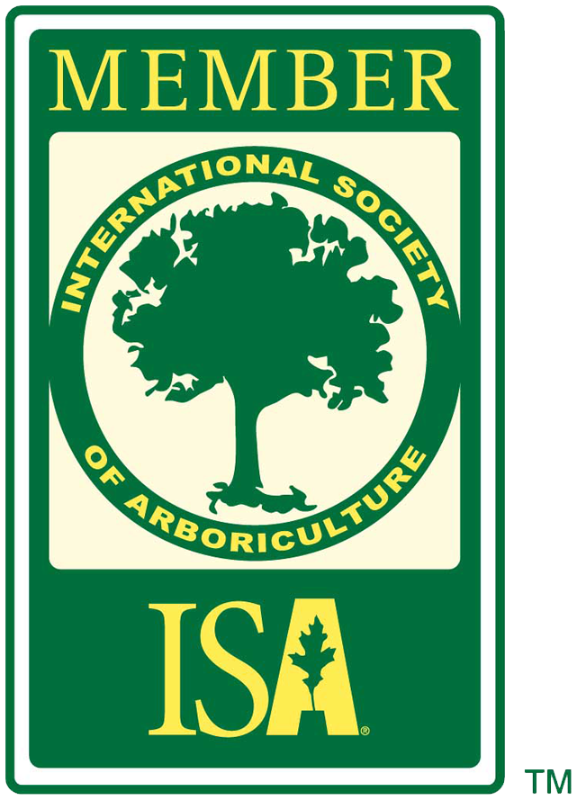 ISA member badge