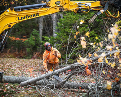 Amped Property Services photo 1